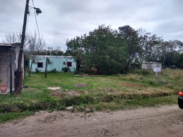 TERRENO