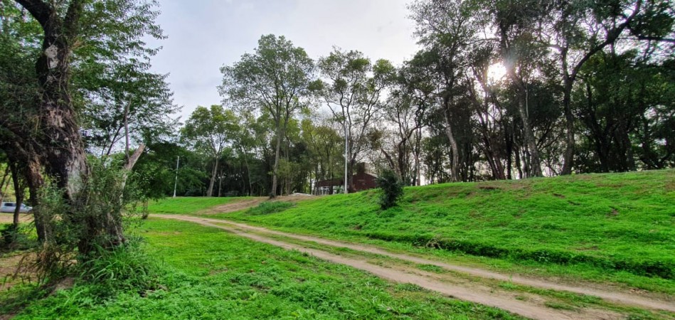 TERRENO