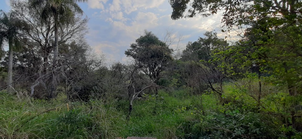 TERRENO