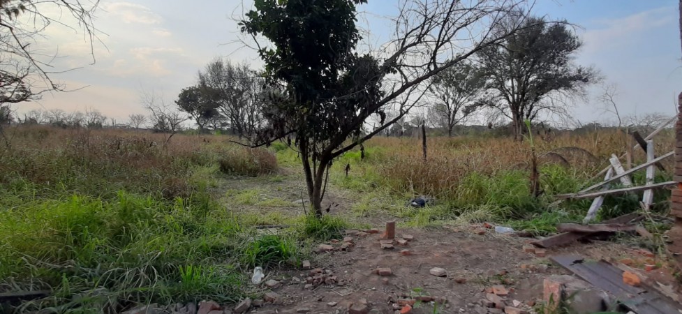 TERRENO