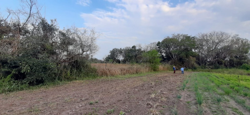 TERRENO