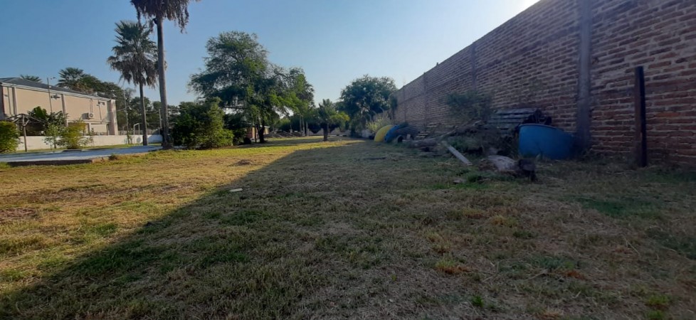 TERRENO