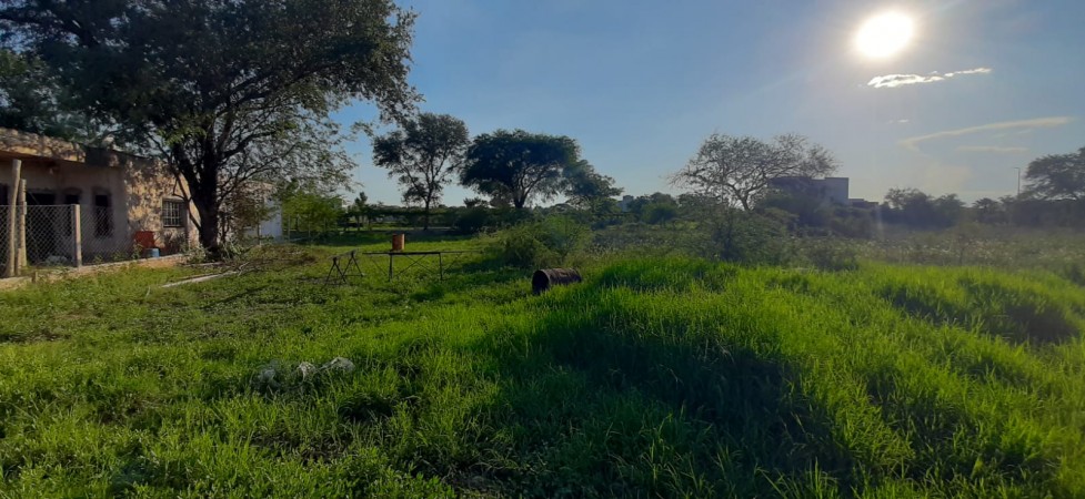 TERRENO