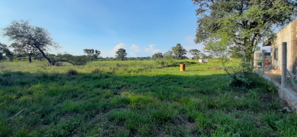 TERRENO