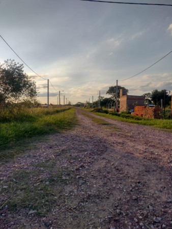 TERRENO