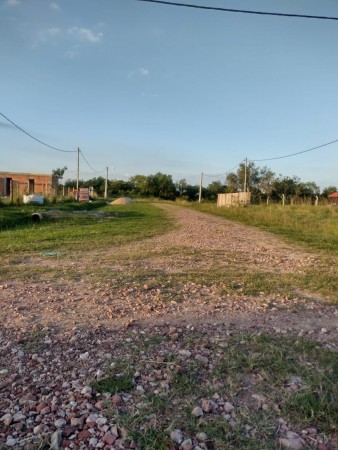 TERRENO