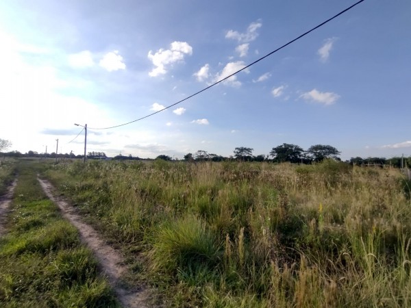 TERRENOS