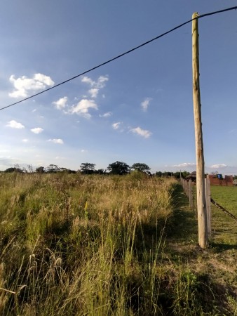 TERRENOS