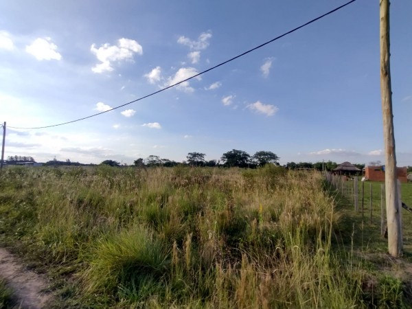 TERRENOS