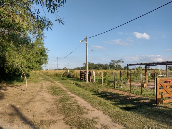 TERRENOS
