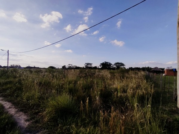 TERRENOS