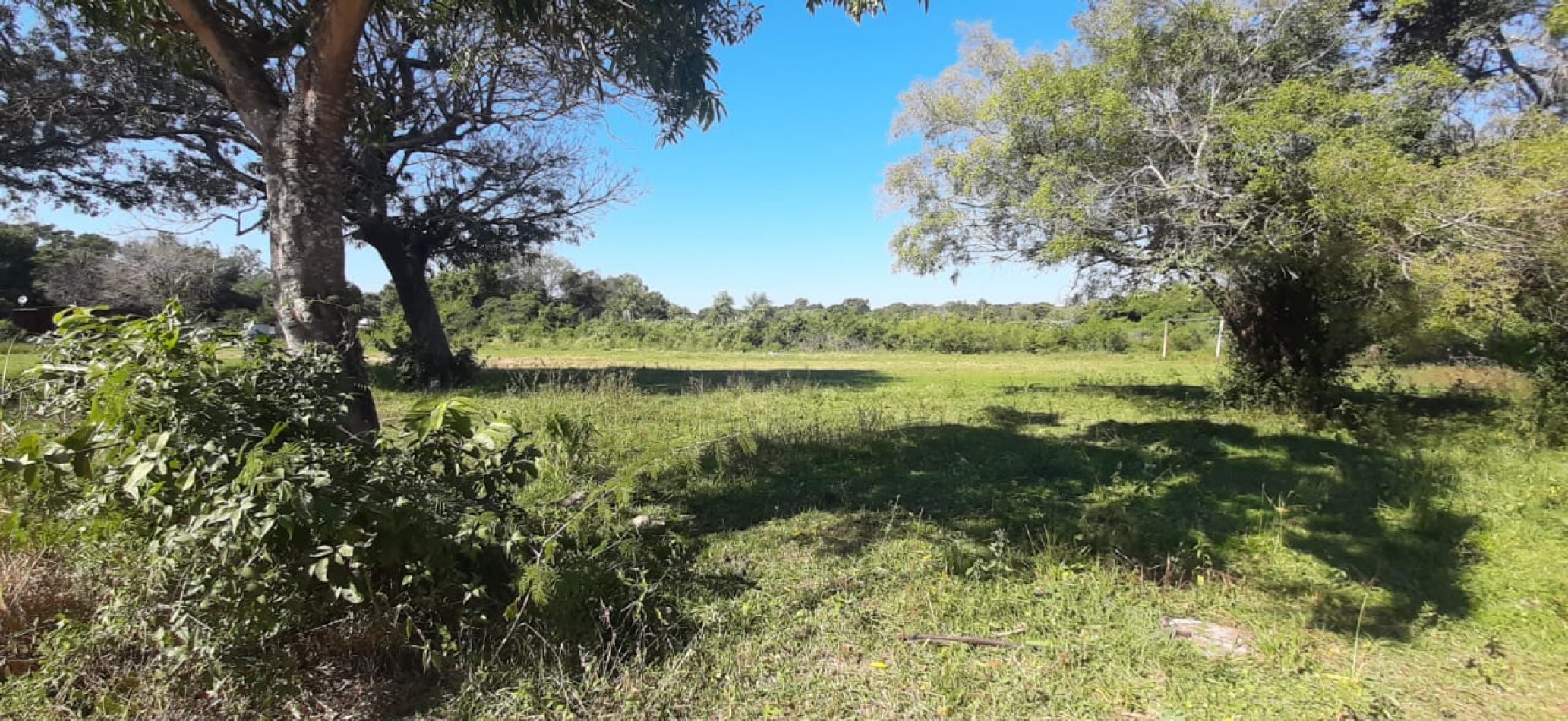 TERRENO