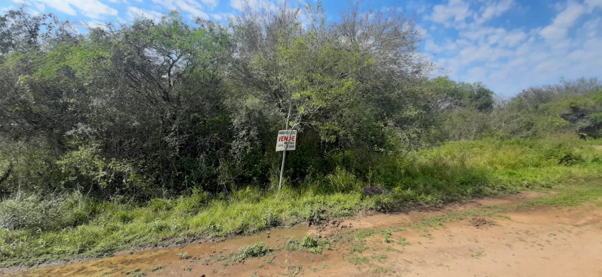 TERRENO