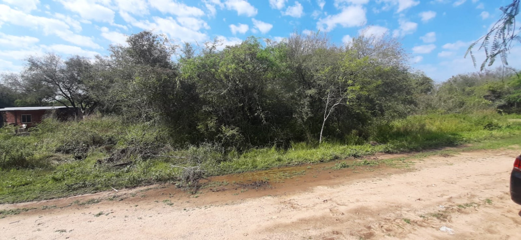 TERRENO