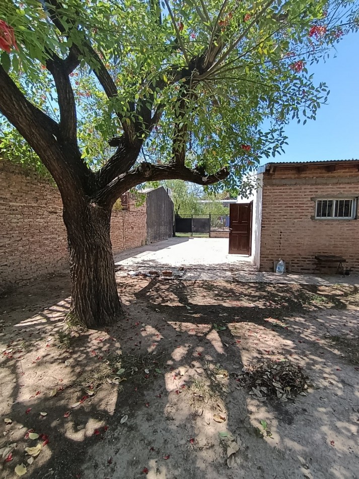 CASA
