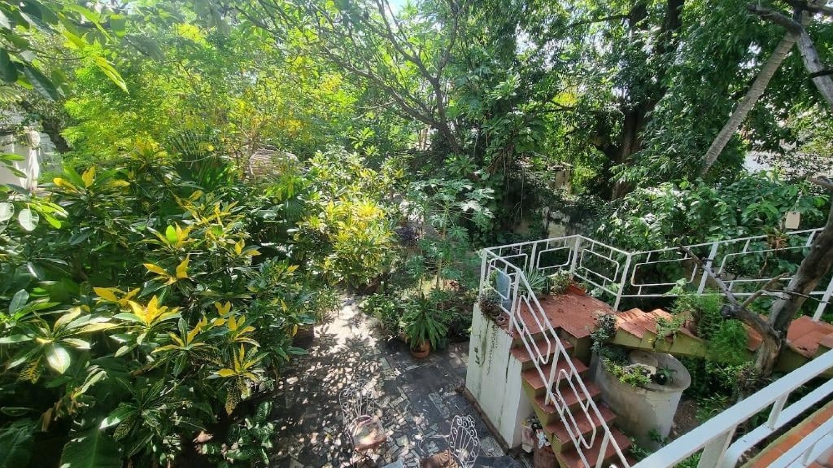 CASA CON LOCAL COMERCIAL
