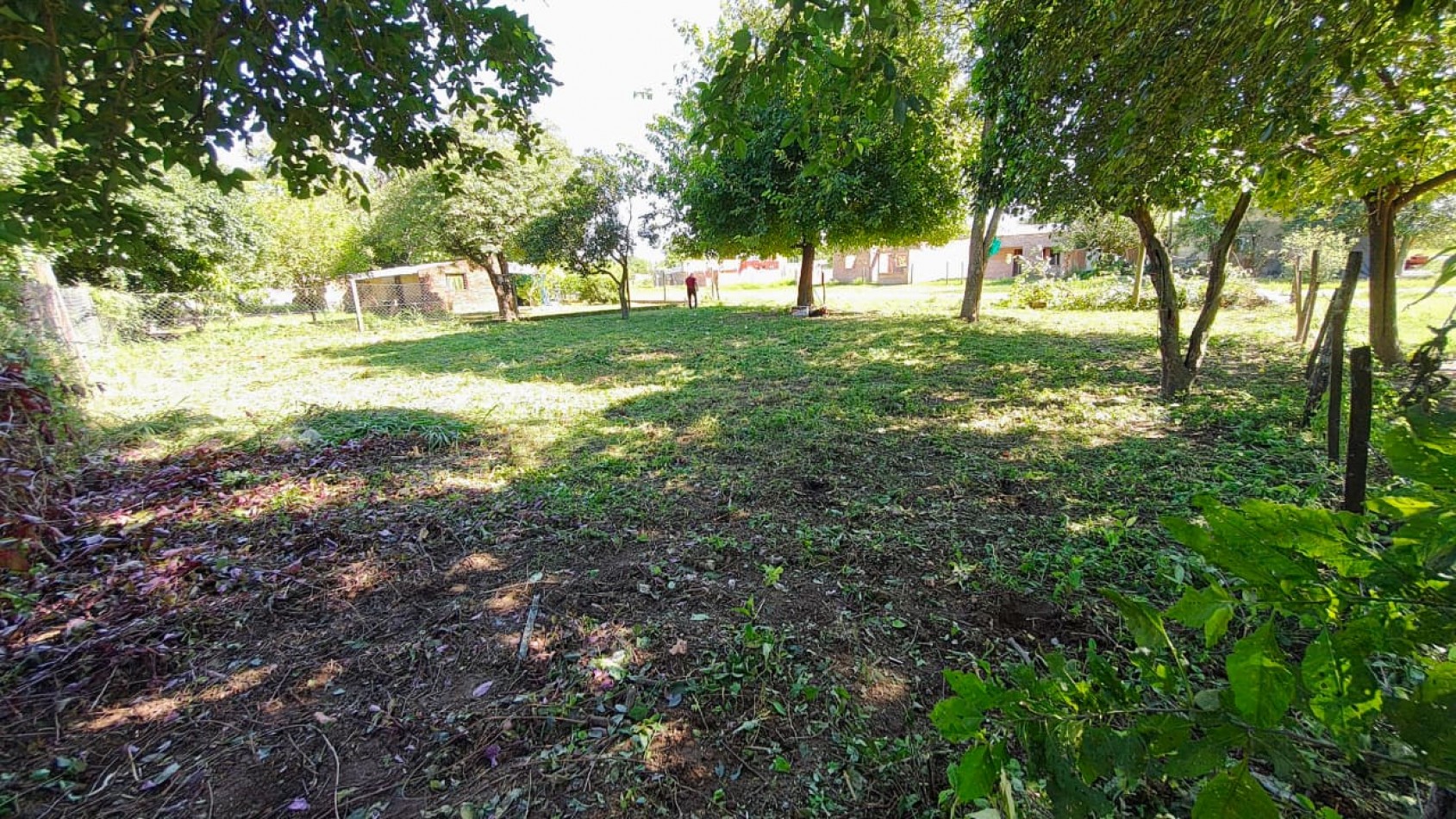 TERRENO 
