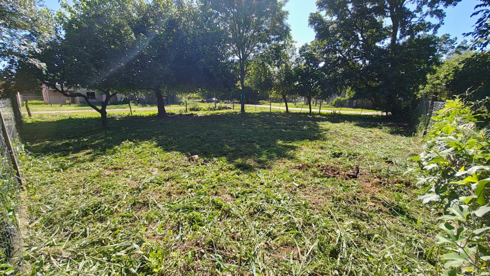 TERRENO 