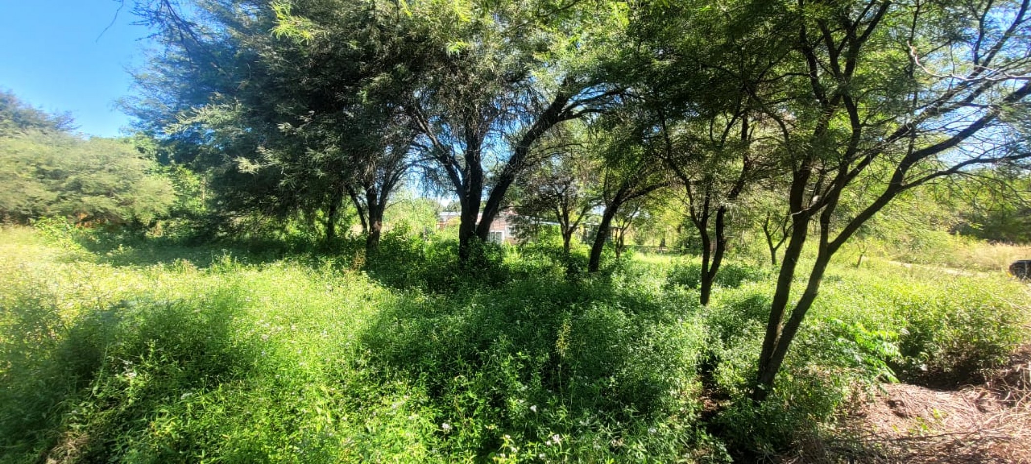TERRENOS
