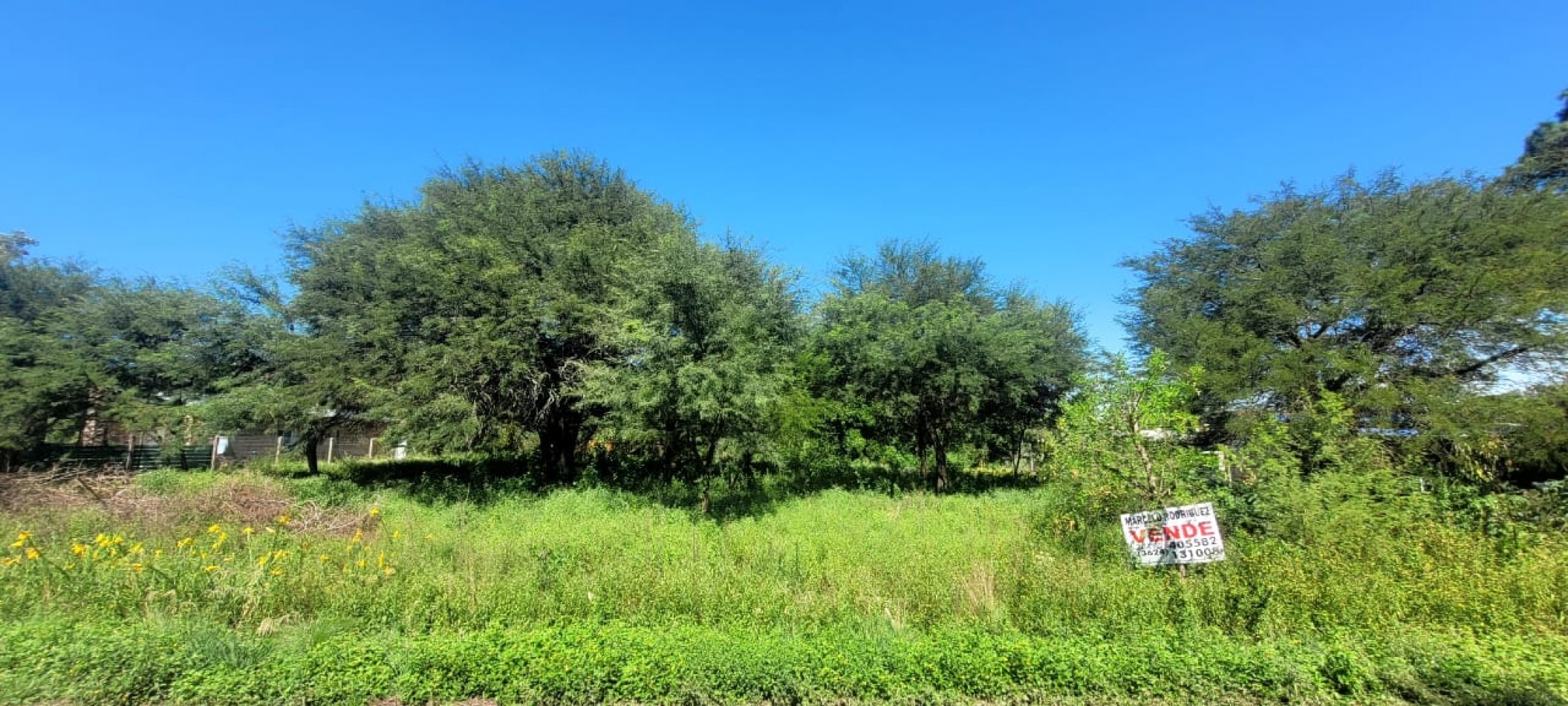TERRENOS