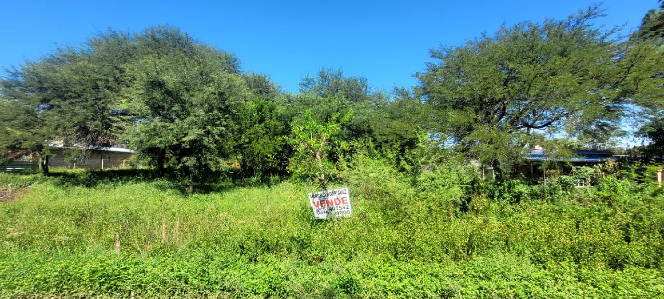 TERRENOS