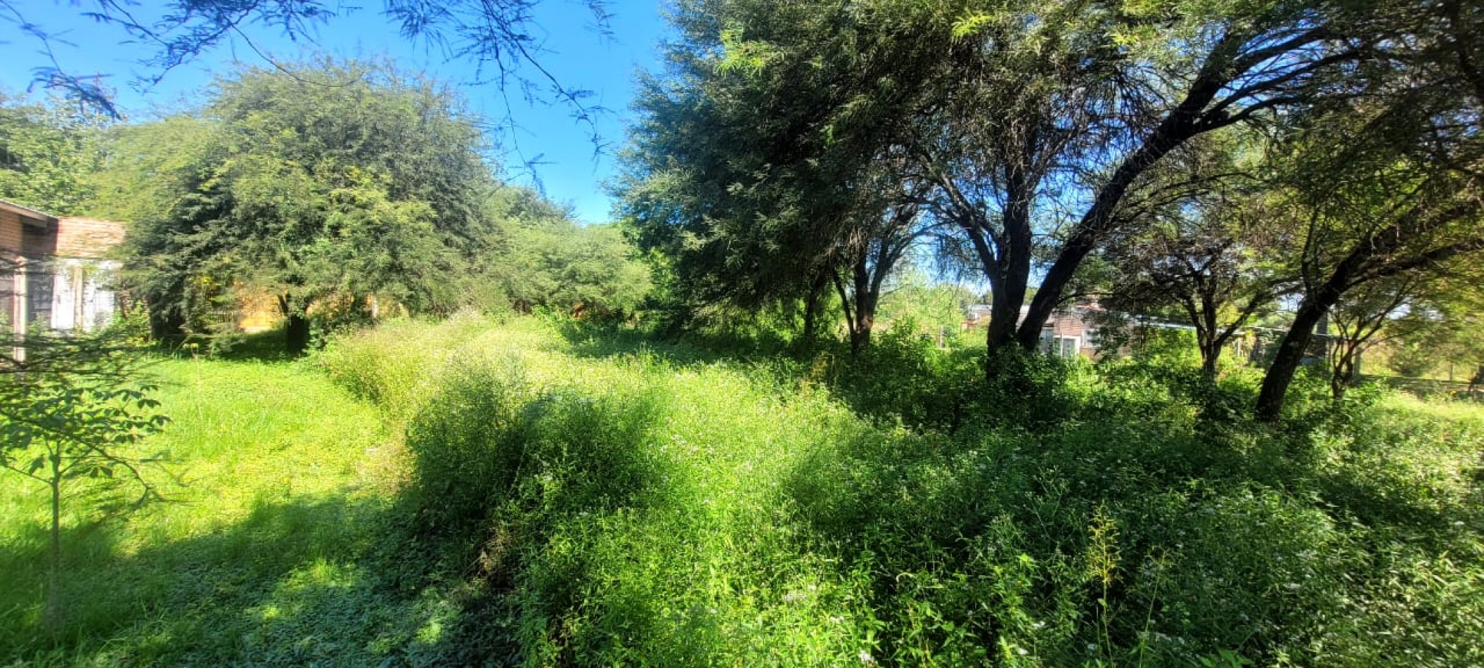 TERRENOS