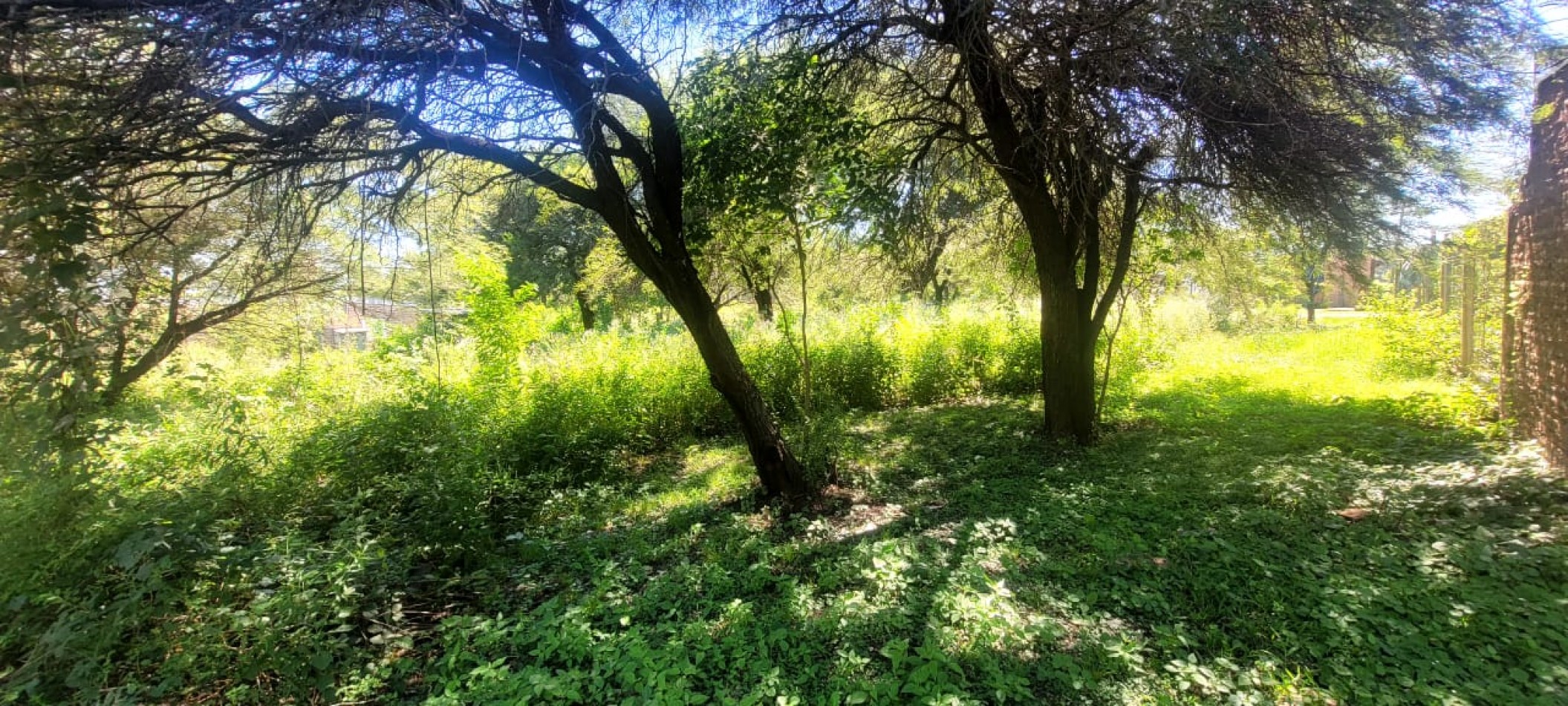 TERRENOS