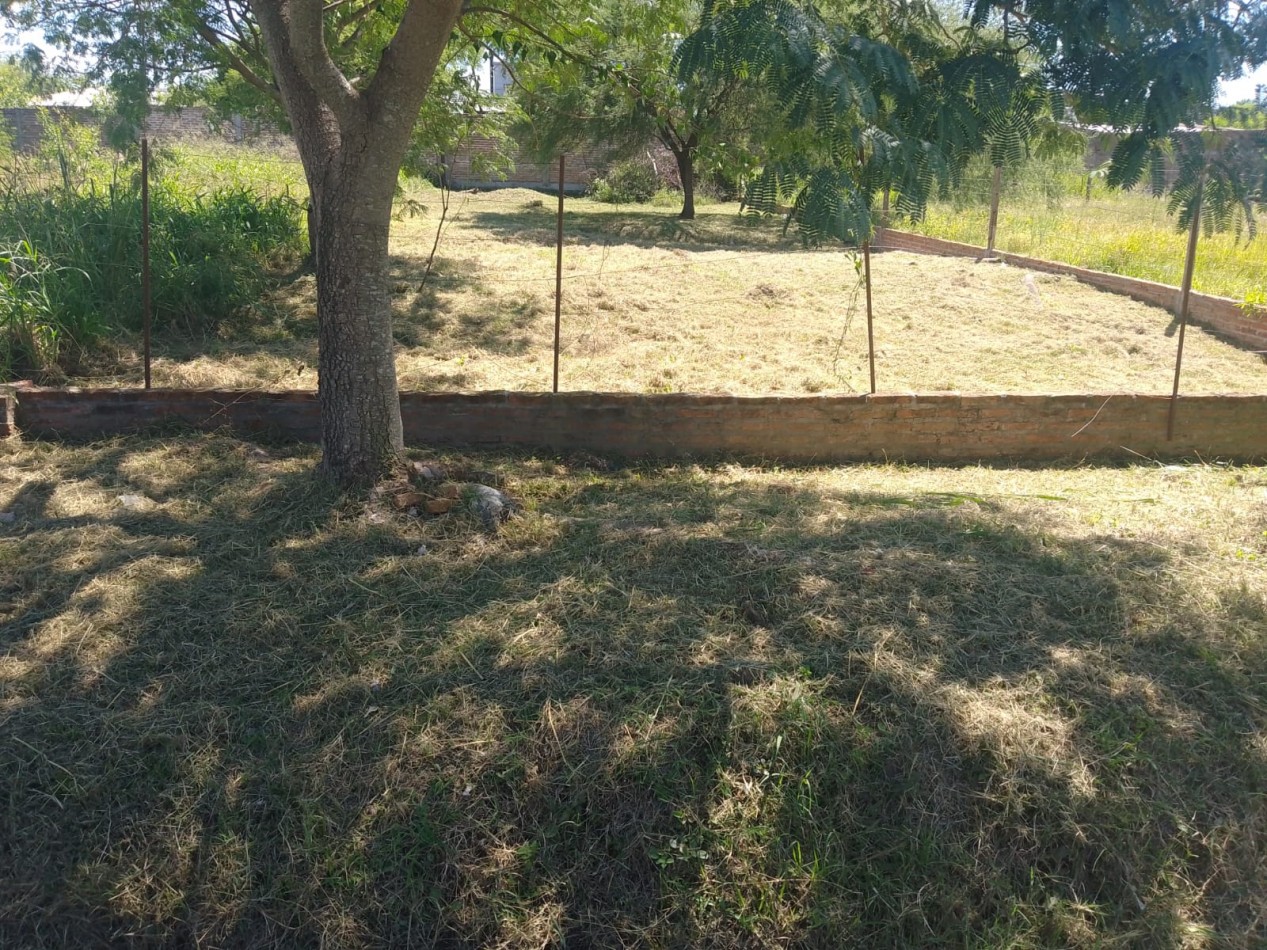 TERRENO