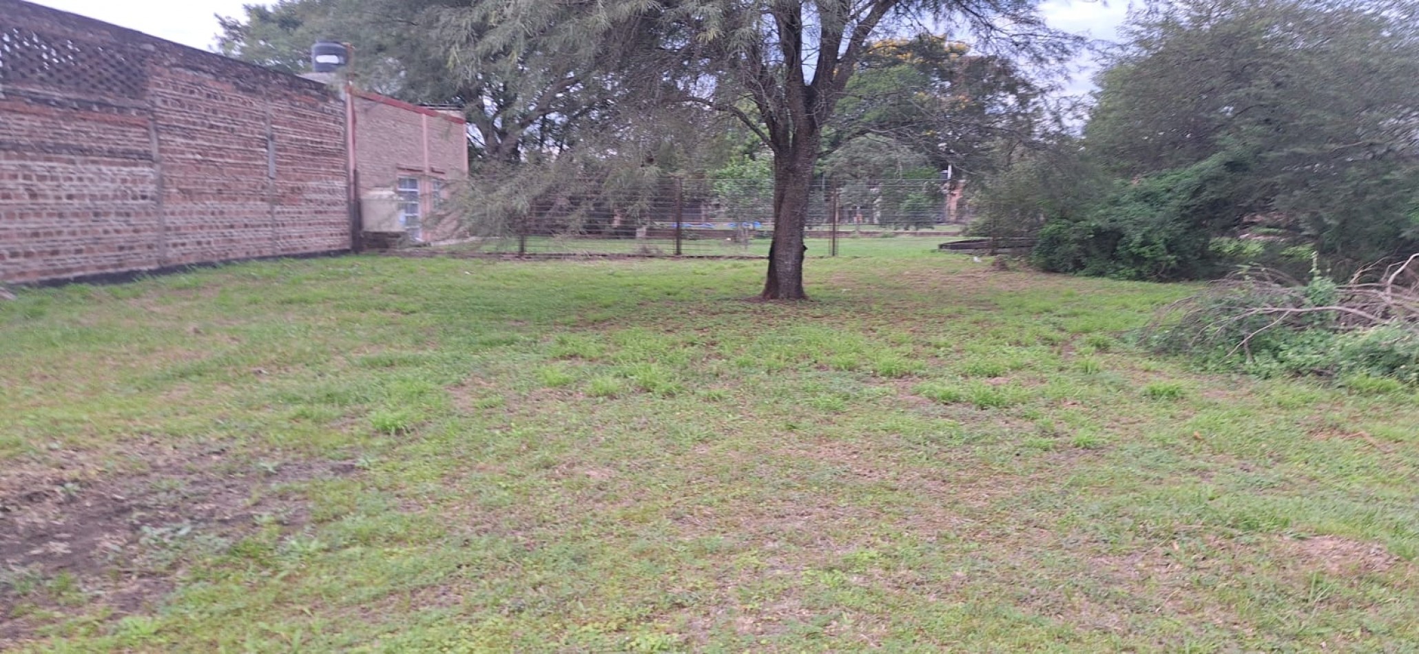 TERRENO