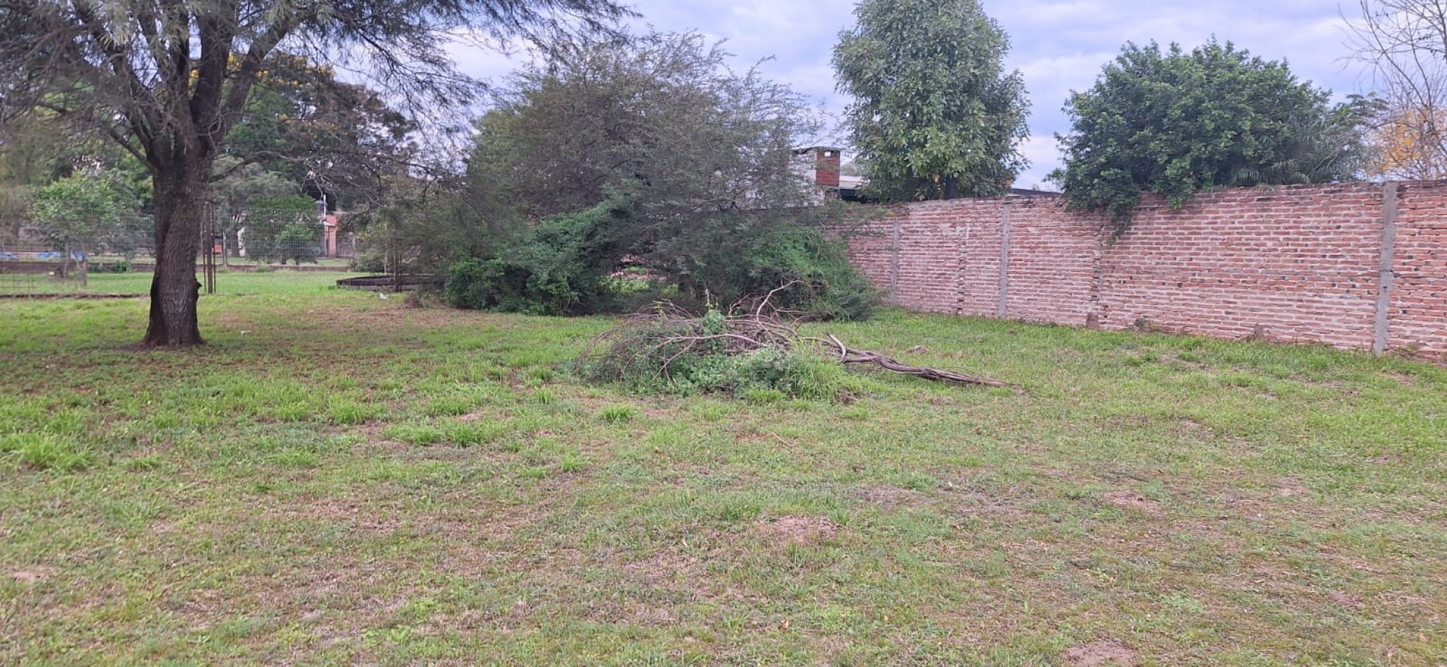 TERRENO