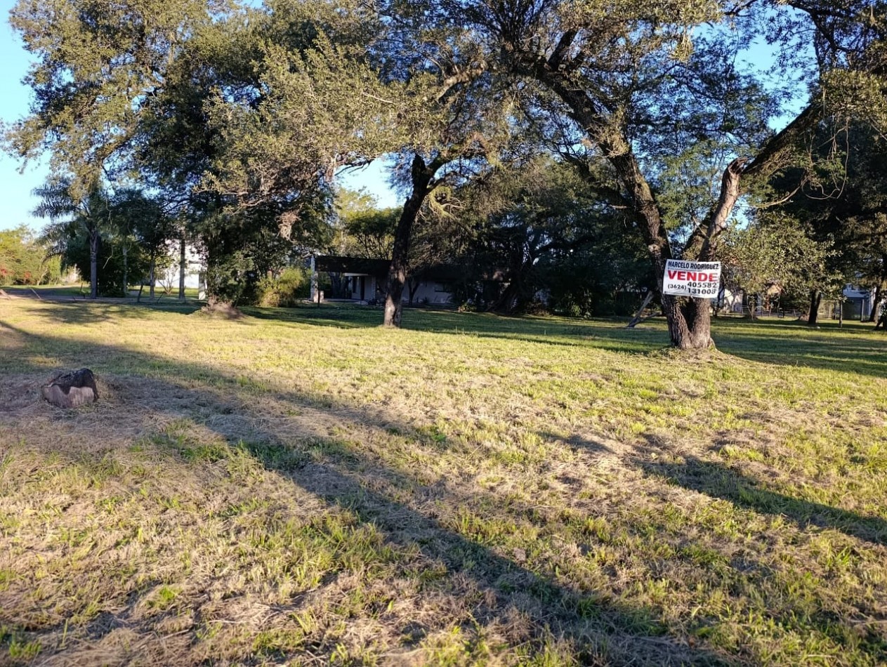 TERRENO