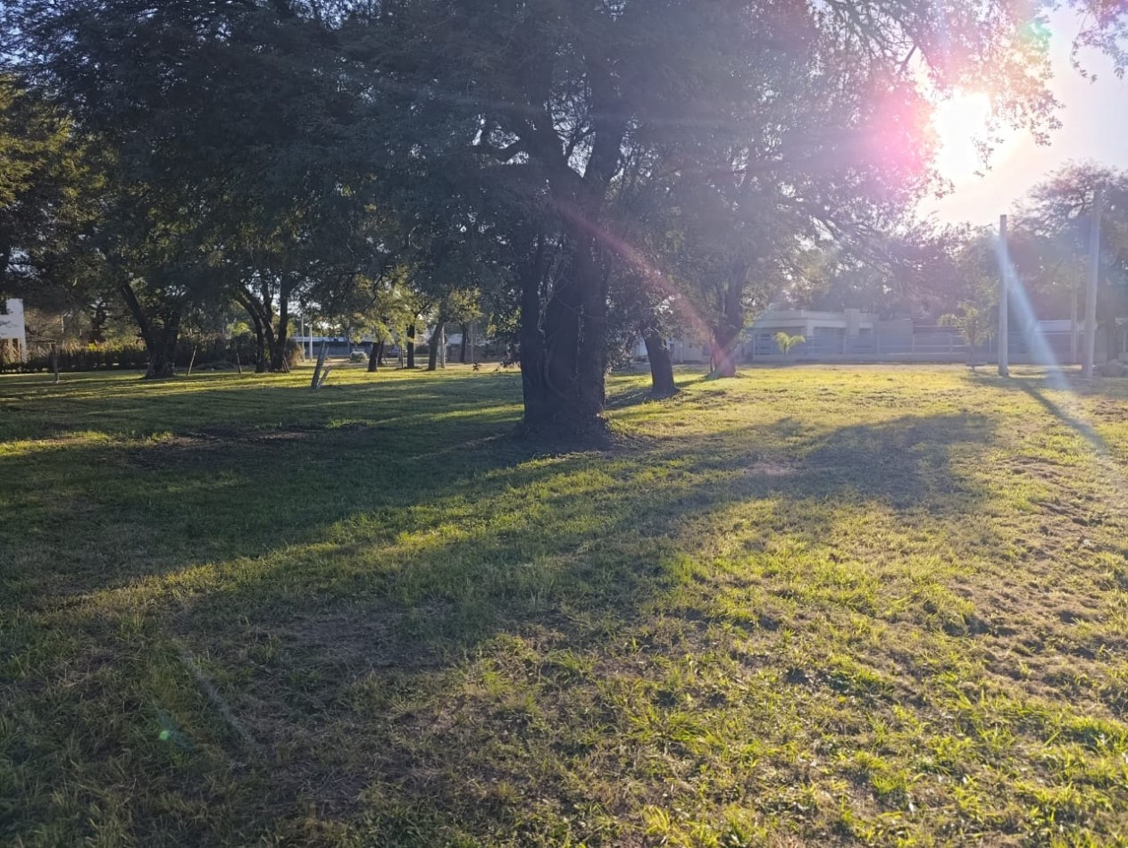 TERRENO