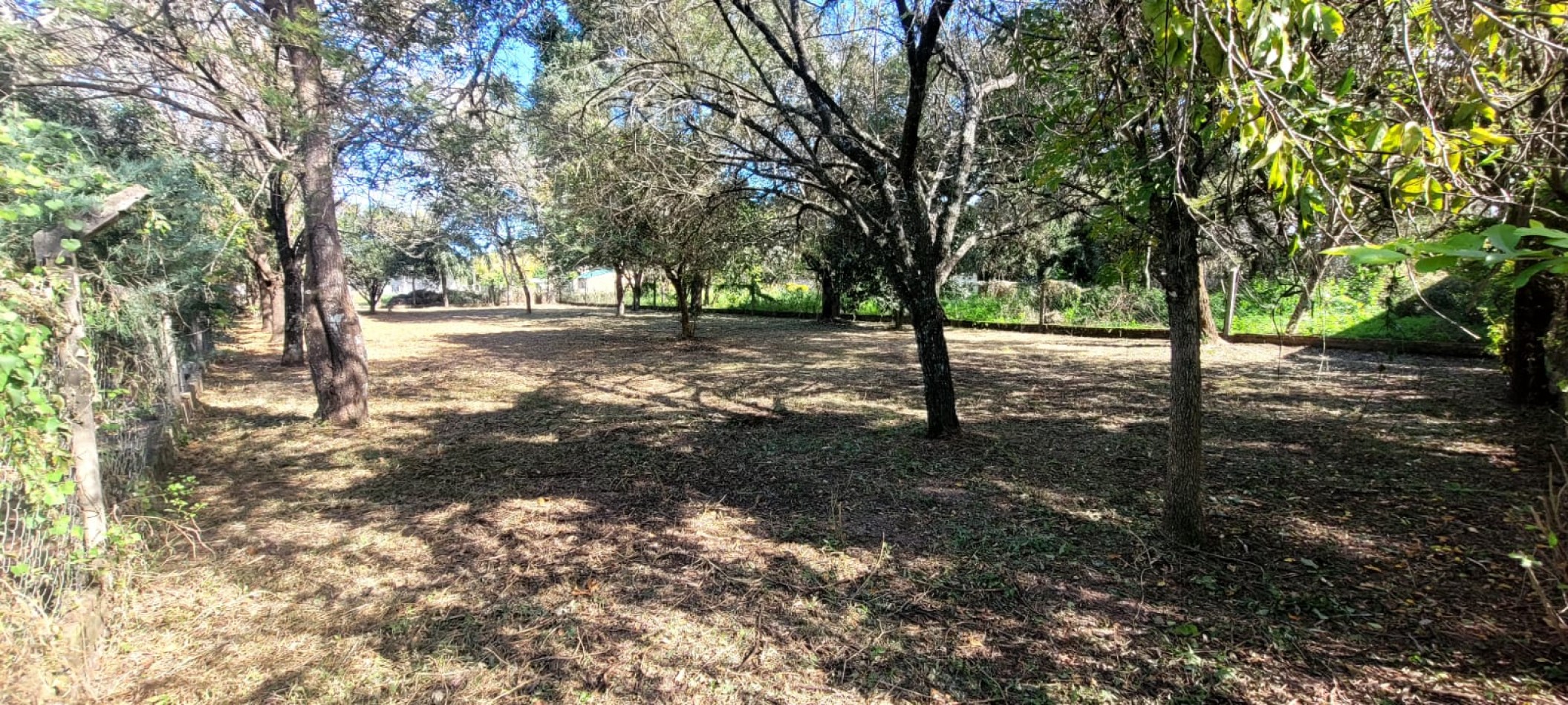 TERRENO