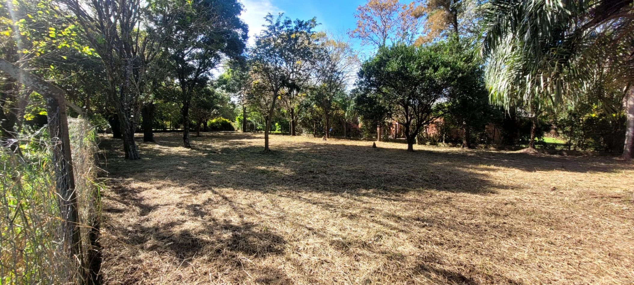 TERRENO