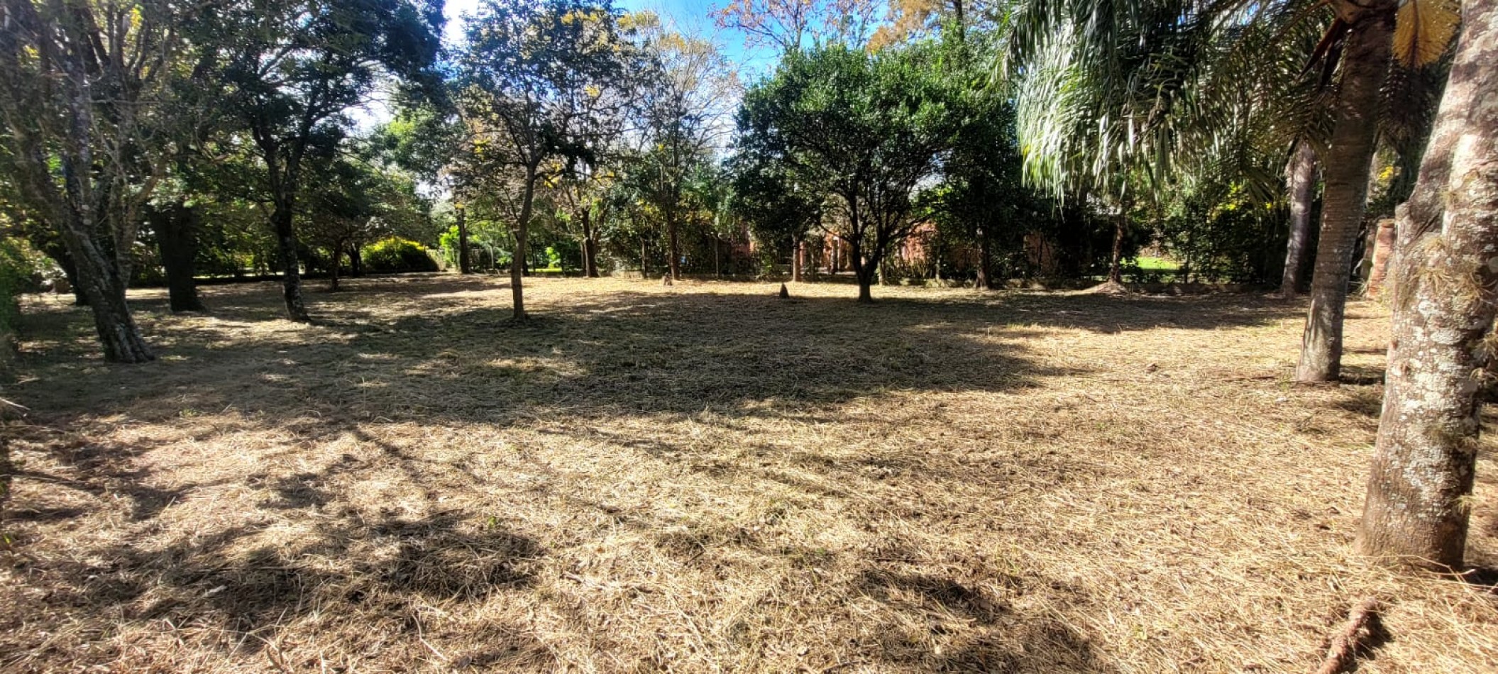 TERRENO