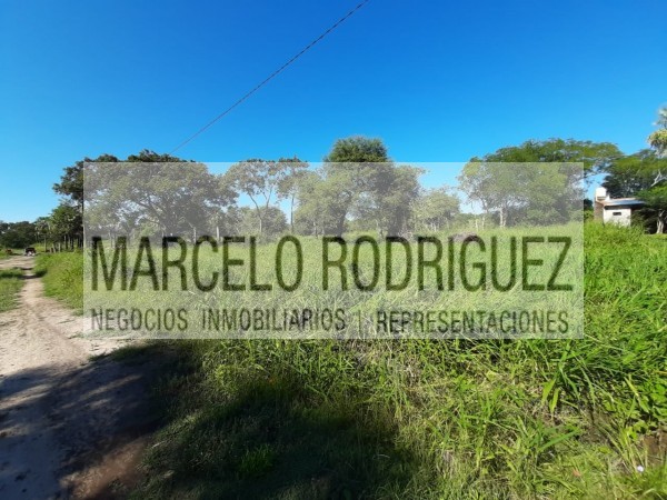 2 TERRENOS LINDANTES