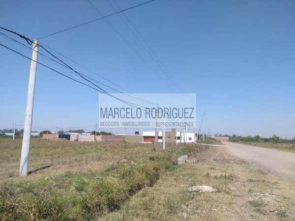 TERRENO