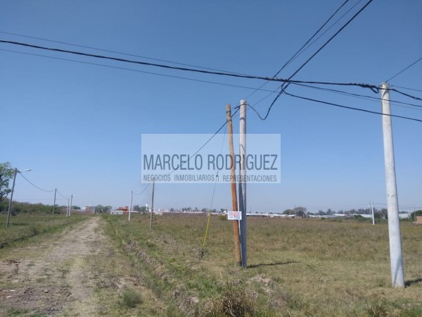 TERRENO