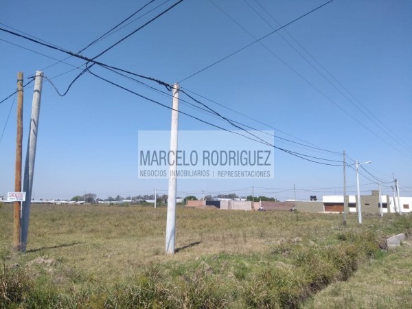 TERRENO