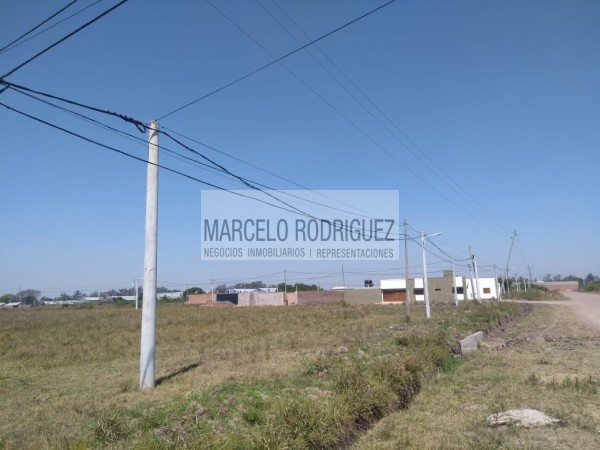 TERRENO