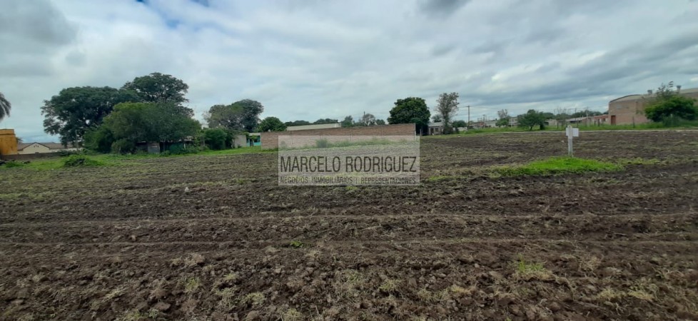 TERRENOS 