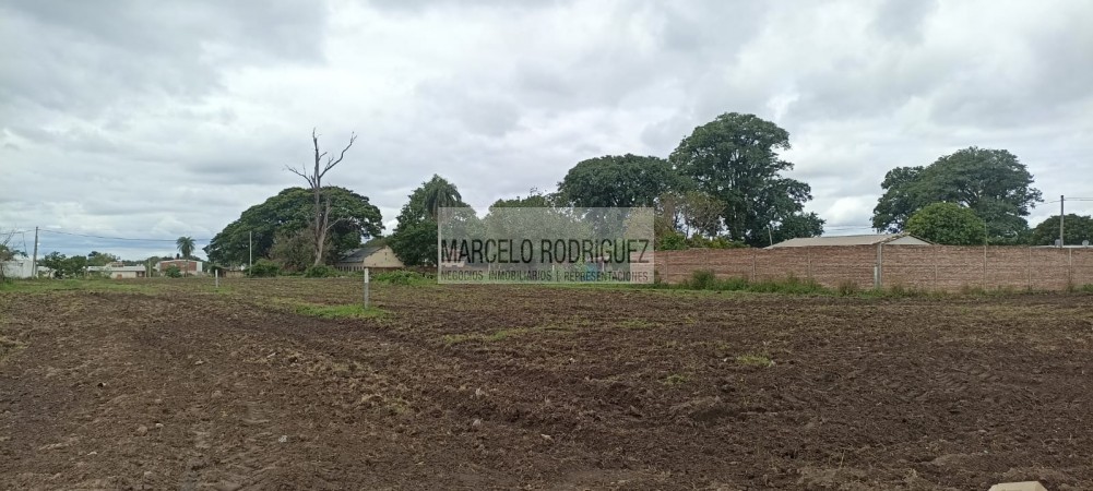 TERRENOS 
