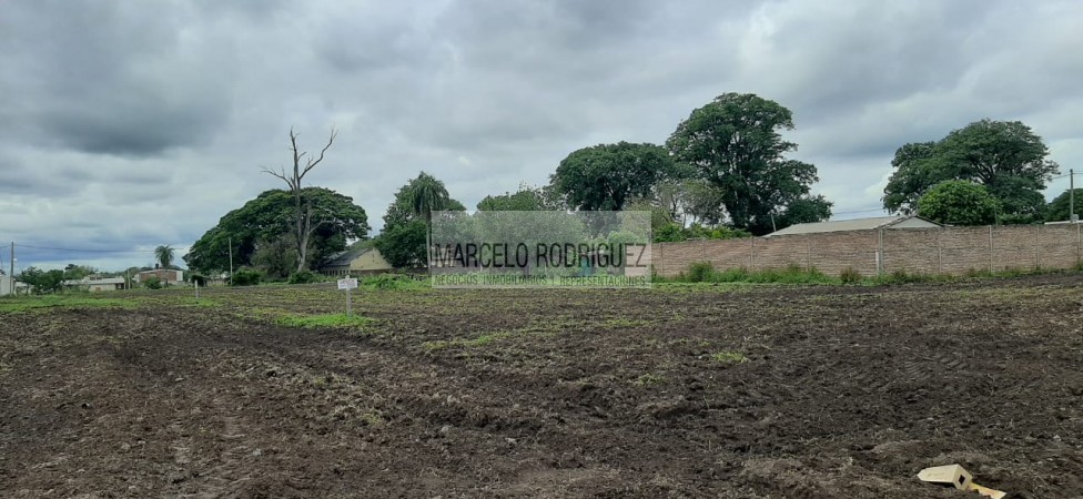 TERRENOS 