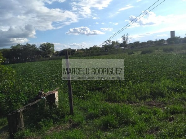TERRENO
