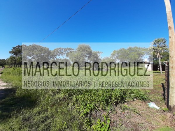 2 TERRENOS LINDANTES