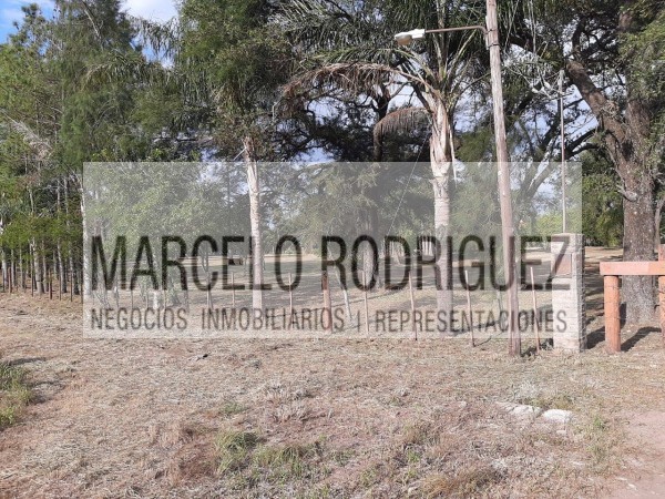 TERRENO