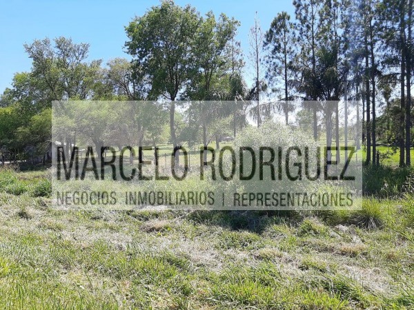 TERRENO