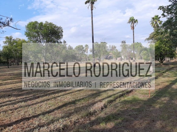TERRENO