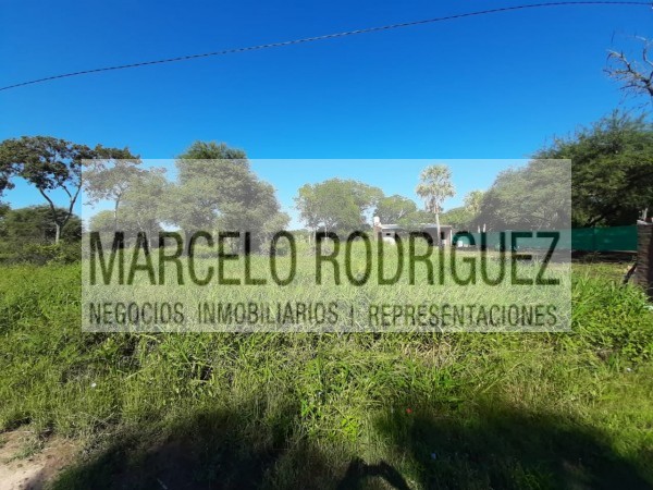 2 TERRENOS LINDANTES
