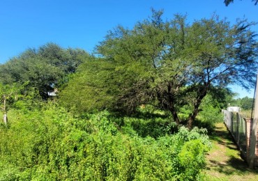 TERRENOS